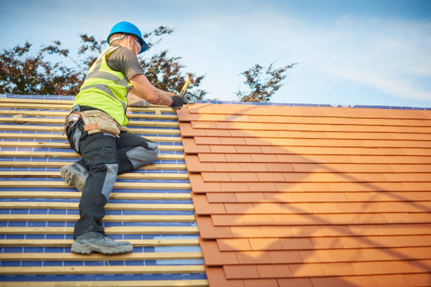 Best Storm Damage Roof Repair  in Havre De Grace, MD